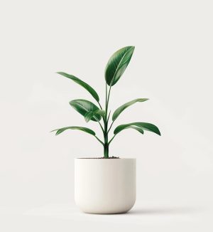 product 04
